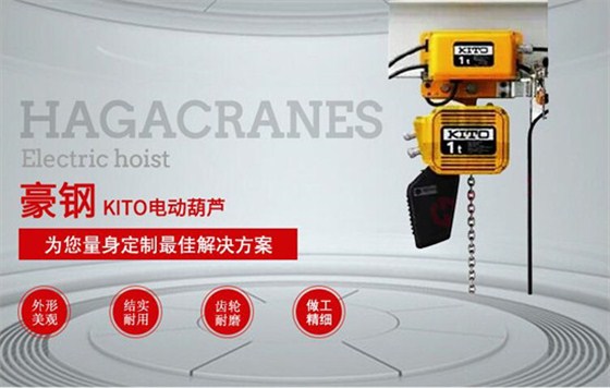 電動(dòng)葫蘆圖片